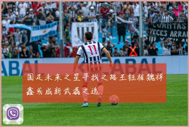 国足未来之星寻找之路王钰栋魏祥鑫或成新武磊之选