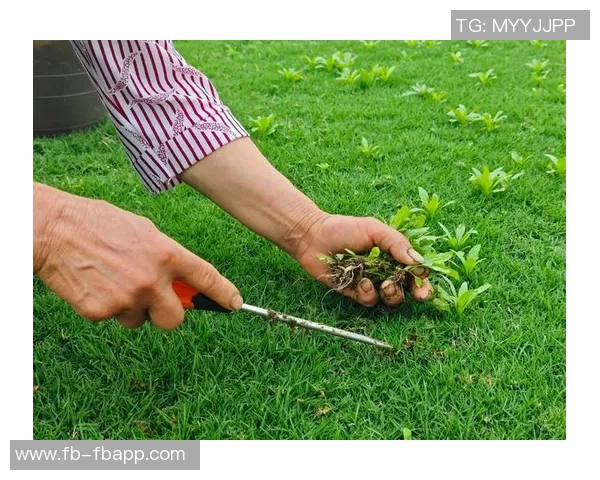 草皮质量堪忧王大雷呼吁大家共同维护主场草坪环境
